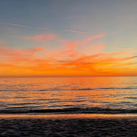 More to Love! Selby Gardens Update