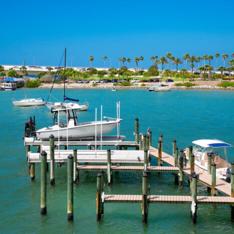 Support the Bay Park!