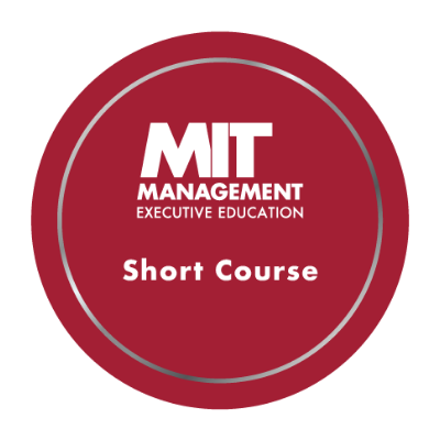 IMAGE. MIT Econ Badge
